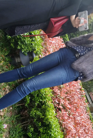 JIN SHENţ�г�����TUI-��ʦ����-www.jiepaids.com