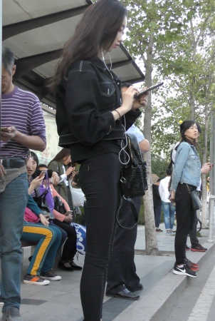 4K  ��Ʒ��TUIJIN SHENţ�� �� ��Ů-��ʦ����-www.jiepaids.com