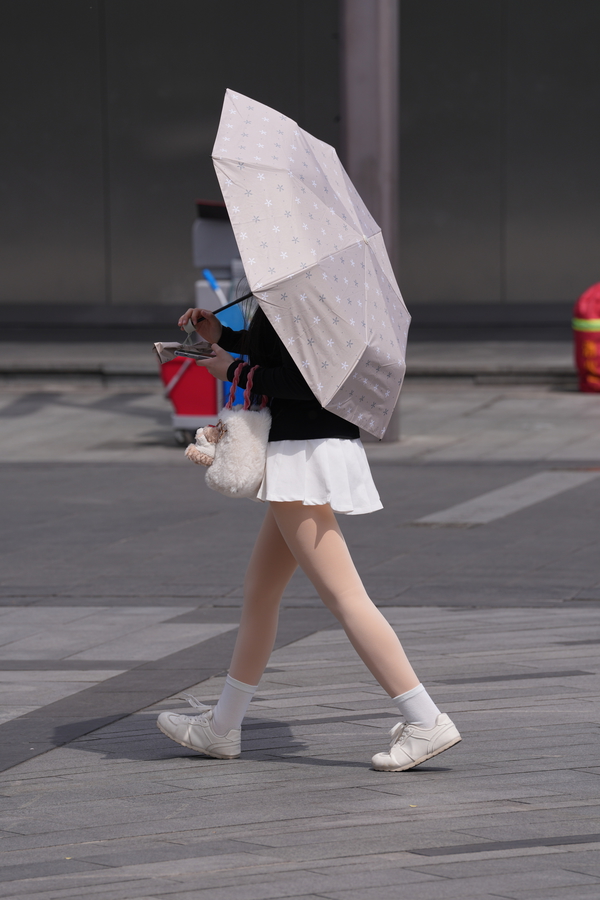 ��˿������2026.2.11�뿴������Ŀ